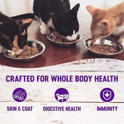 Wellness Healthy Indulgence Morsels Tuna Wet Cat Food - 85g - Canned Cat Food - Wellness - PetMax Canada