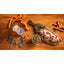 Fromm Four Star Canned Cat Food Shredded Turkey in Gravy Entree  Canned Cat Food  | PetMax Canada