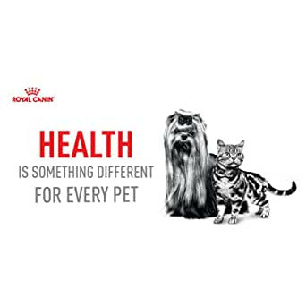 Royal Canin Canned Dog Adult Weight Care Loaf In Sauce  Canned Dog Food  | PetMax Canada