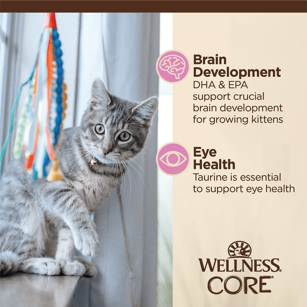 Wellness CORE Tiny Tasters Kitten Pâté Chicken Recipe in Sauce Wet Cat Food - 50g - Canned Cat Food - Wellness - PetMax Canada