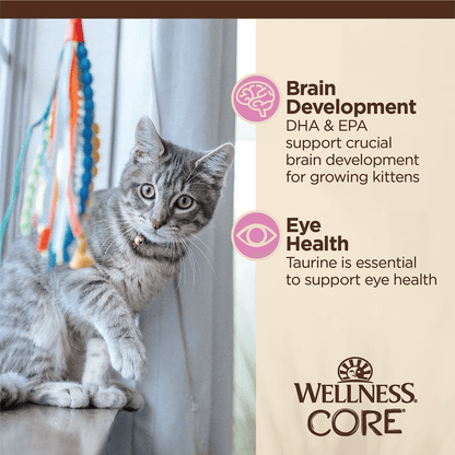 Wellness CORE Tiny Tasters Kitten Pâté Chicken Recipe in Sauce Wet Cat Food - 50g - Canned Cat Food - Wellness - PetMax Canada