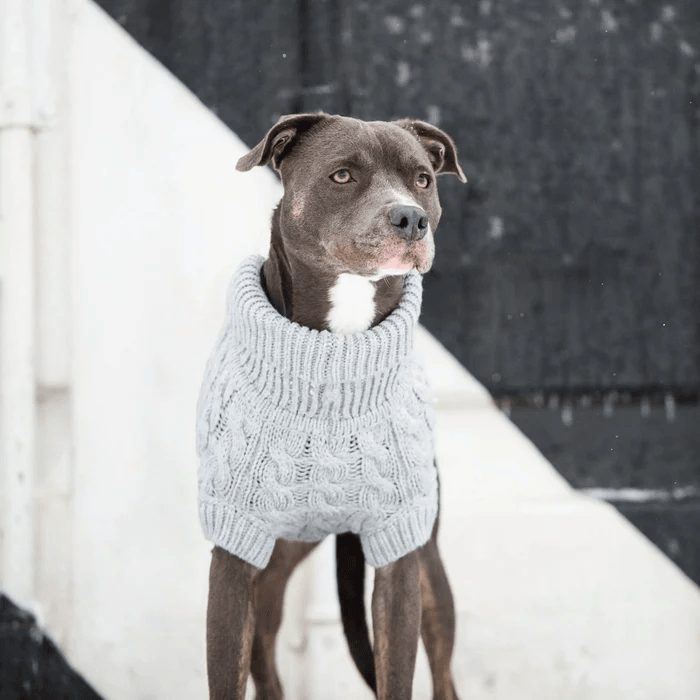 GF Pet Chalet Sweater Grey For Dogs  Sweaters  | PetMax Canada