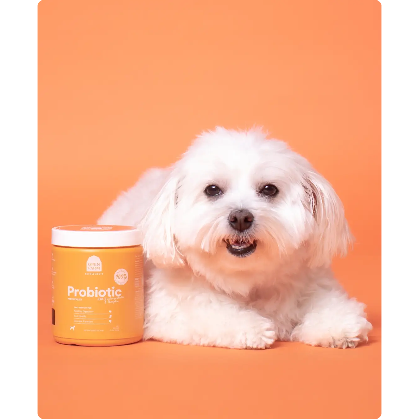 Open Farm Dog Supplement Probiotic Chews  Health Care  | PetMax Canada