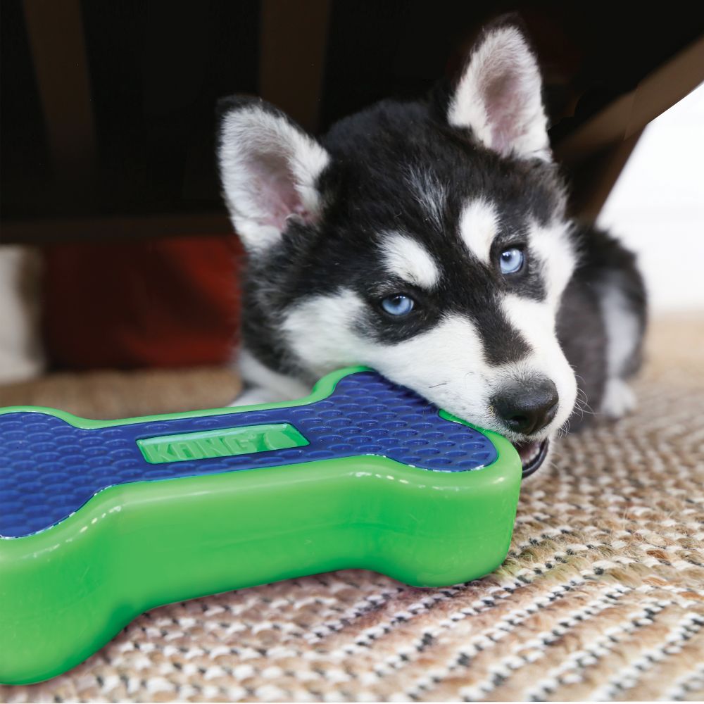 Kong Dog Toy Eon Bone  Dog Toys  | PetMax Canada