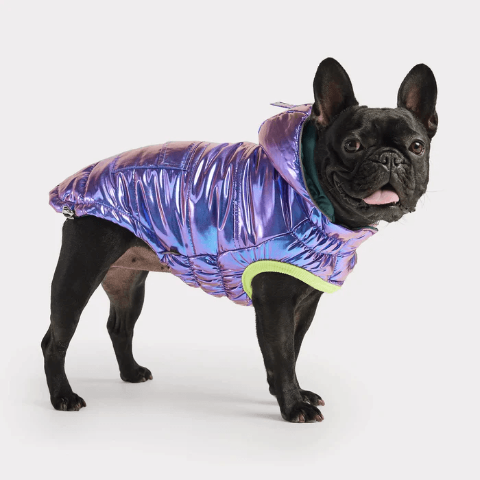 GF Pet Recycled Parka Iridescent For Dogs  Coats  | PetMax Canada