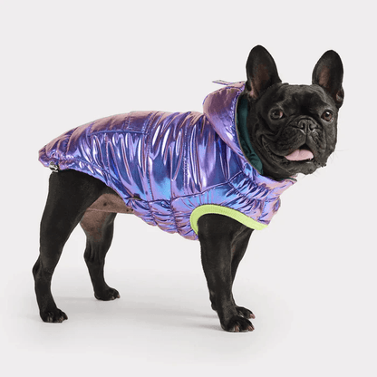 GF Pet Recycled Parka Iridescent For Dogs - X-Small - Coats - GF Pet - PetMax Canada