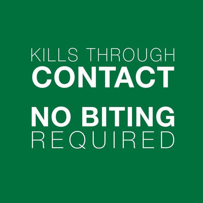 Advantage II For Small Cats - 2.4Kg - 4Kg / 4 Pack - Flea & Tick - Advantage - PetMax Canada