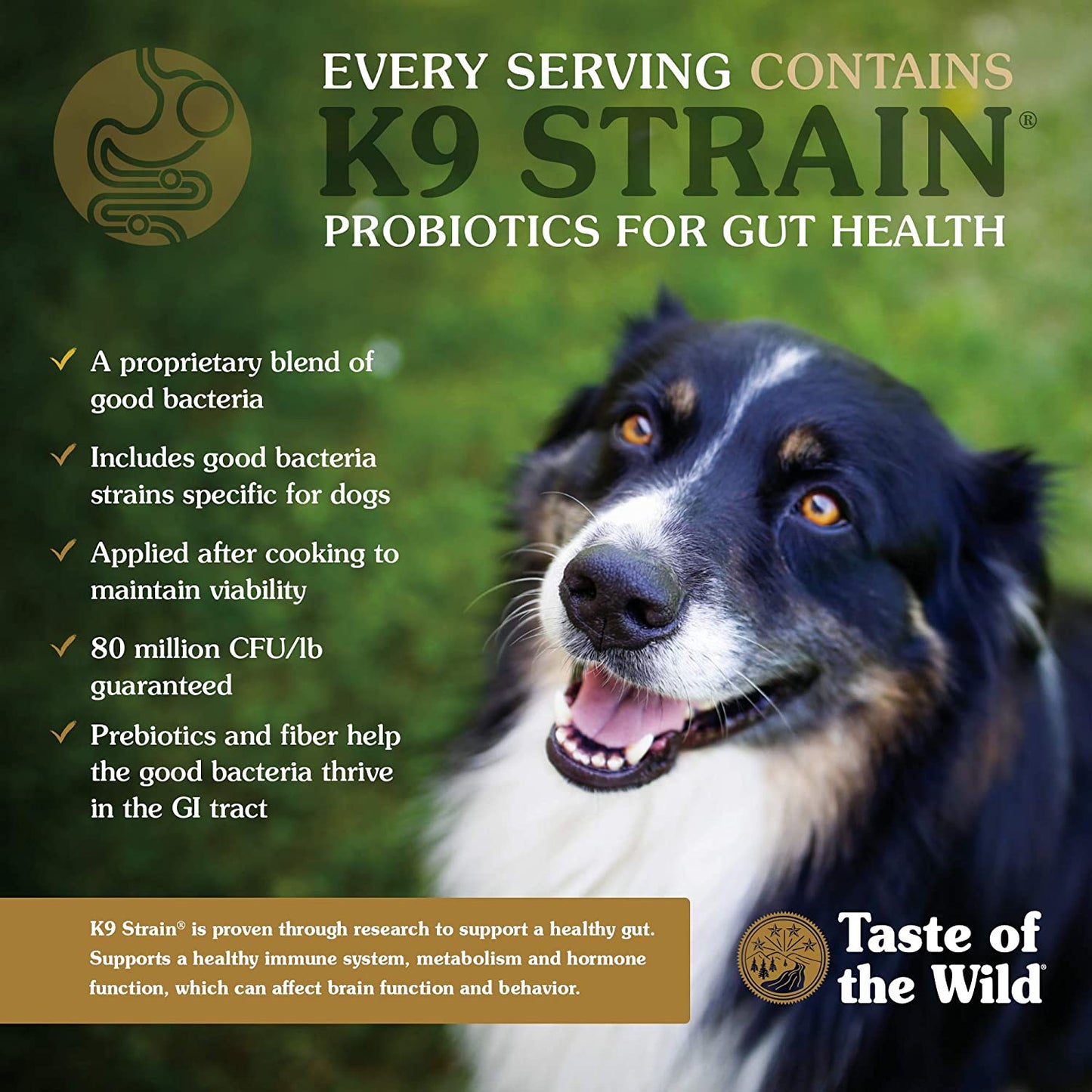 Taste Of The Wild Pine Forest Venison & Legumes  Dog Food  | PetMax Canada