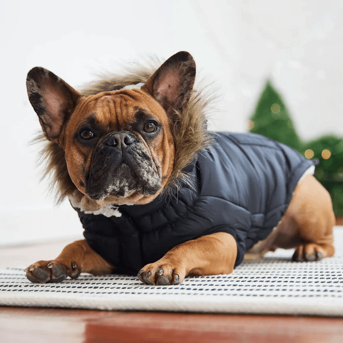 GF Pet Urban Parka Black For Dogs - X-Small - Coats - GF Pet - PetMax Canada