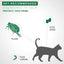 Advantage II For Large Cats - 4Kg+ / 4 Pack - Flea & Tick - Advantage - PetMax Canada