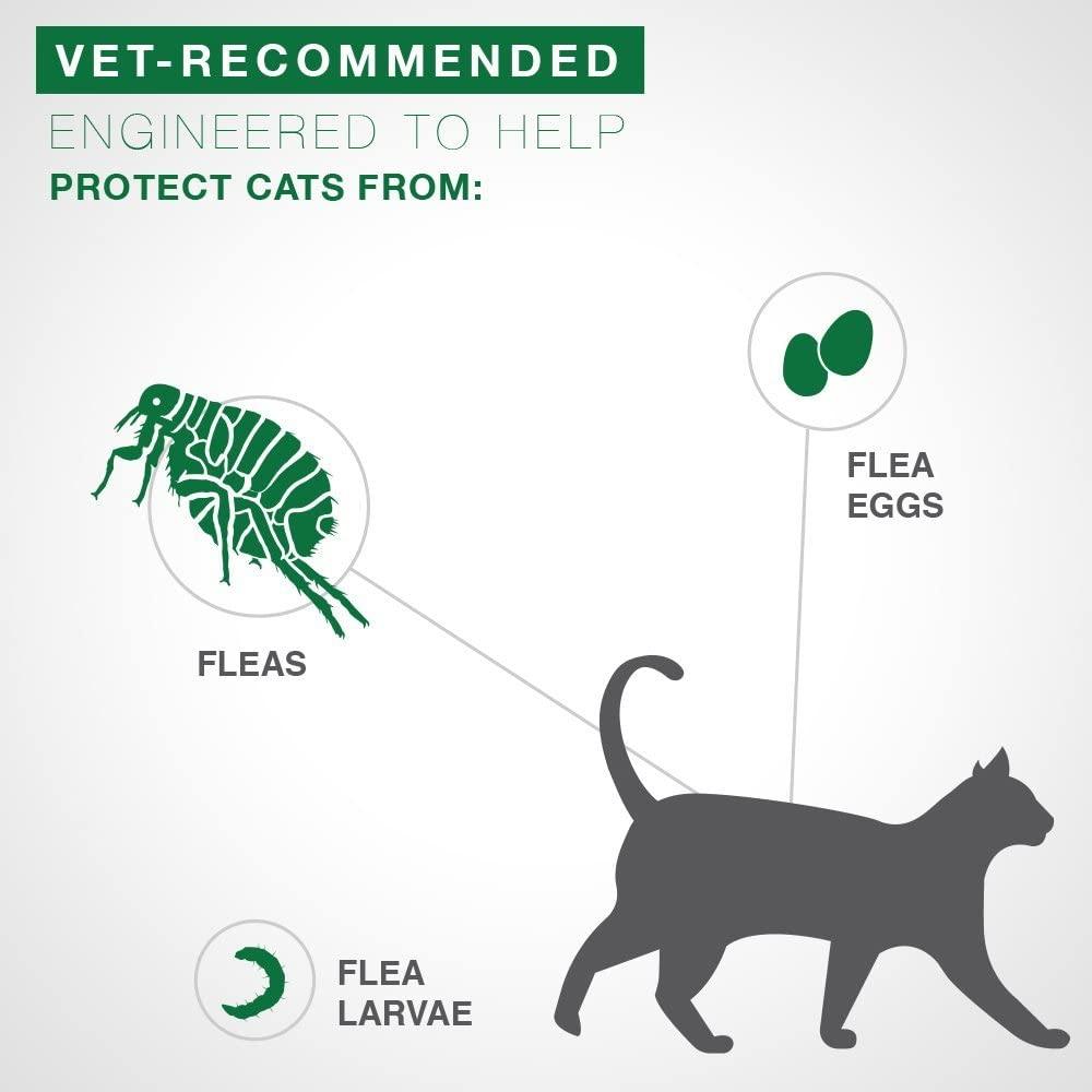 Advantage II For Large Cats - 4Kg+ / 4 Pack - Flea & Tick - Advantage - PetMax Canada