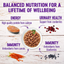 Wellness Healthy Indulgence Morsels Salmon & Tuna Wet Cat Food  Canned Cat Food  | PetMax Canada