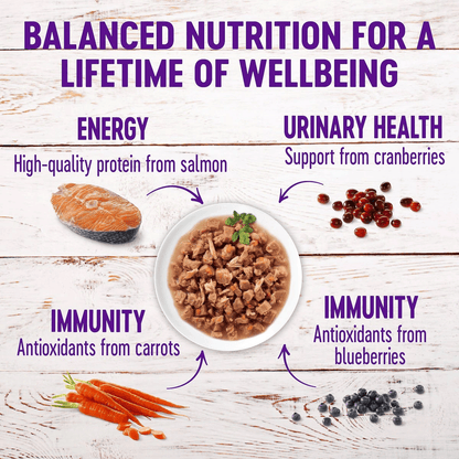 Wellness Healthy Indulgence Morsels Salmon & Tuna Wet Cat Food - 85g - Canned Cat Food - Wellness - PetMax Canada