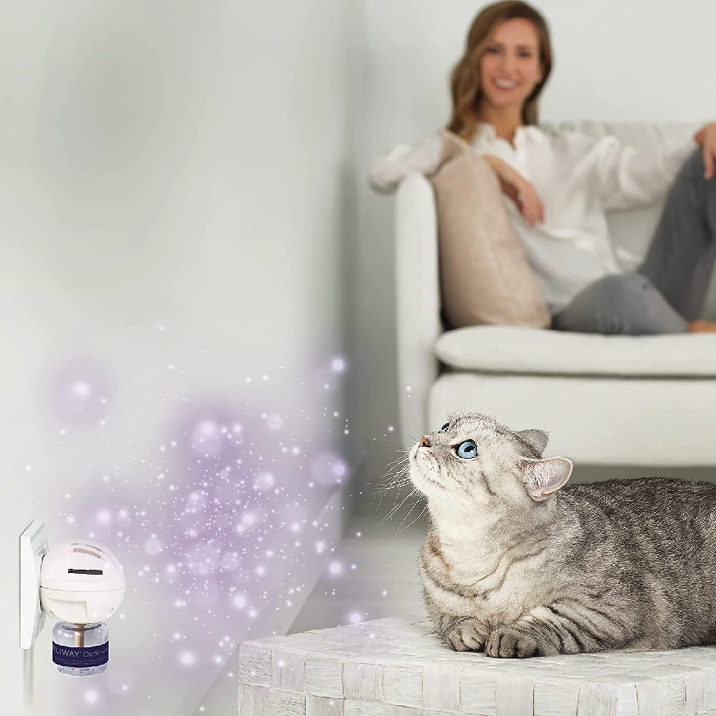 FELIWAY Optimum Cat, Enhanced Calming Pheromone Diffuser, 30 Day Starter Kit  Cat Health Care  | PetMax Canada