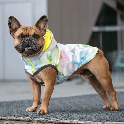 GF Pet Reversible Raincoat Neon Yellow For Dogs - X-Small - Coats - GF Pet - PetMax Canada