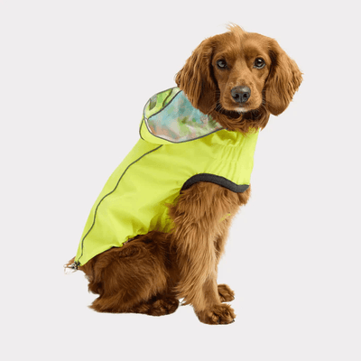 GF Pet Reversible Raincoat Neon Yellow For Dogs - X-Small - Coats - GF Pet - PetMax Canada