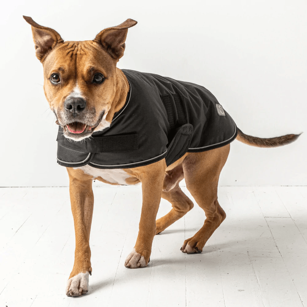 GF Pet Blanket Jacket Black For Dogs - Medium - Coats - GF Pet - PetMax Canada