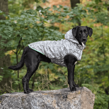 GF Pet Reversible Raincoat Green For Dogs - Small - Coats - GF Pet - PetMax Canada
