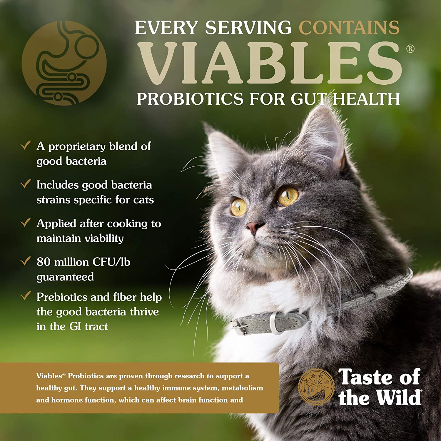 Taste Of The Wild Cat Food Rocky Mountain  Cat Food  | PetMax Canada