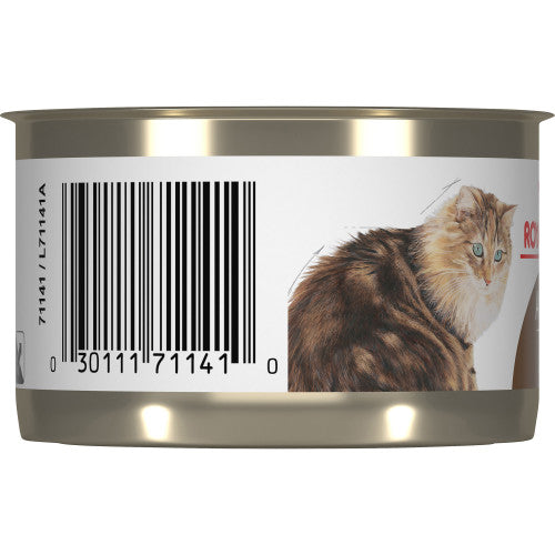 Royal Canin Canned Cat Food Ageing 12+ Loaf In Sauce  Canned Cat Food  | PetMax Canada
