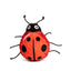 Fabdog Faball Squeaky Ladybug  Dog Toys  | PetMax Canada