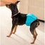 Simple Solution Washable Male Wrap  Training Products  | PetMax Canada