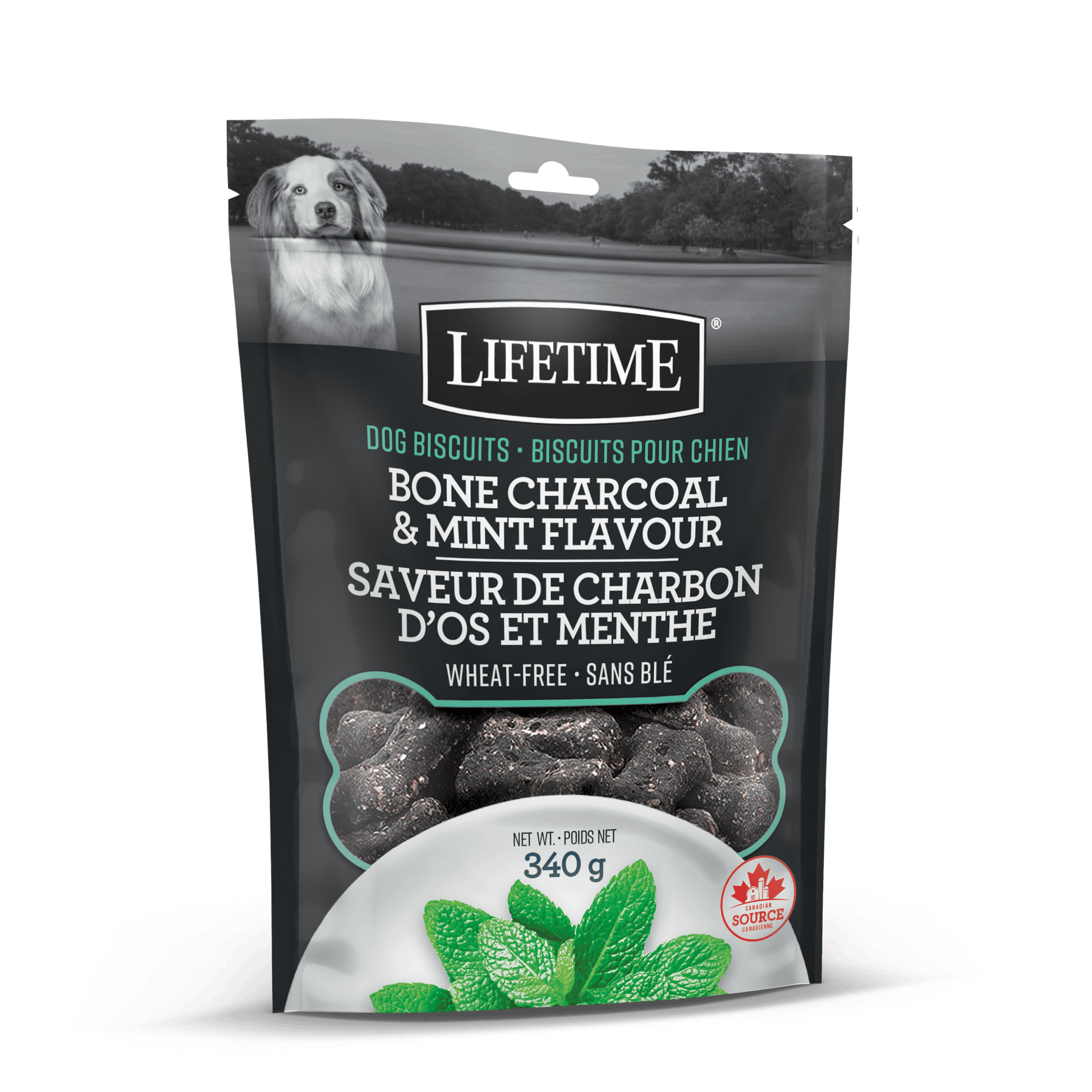 Lifetime Charcoal Mint Flavour Dog Biscuits