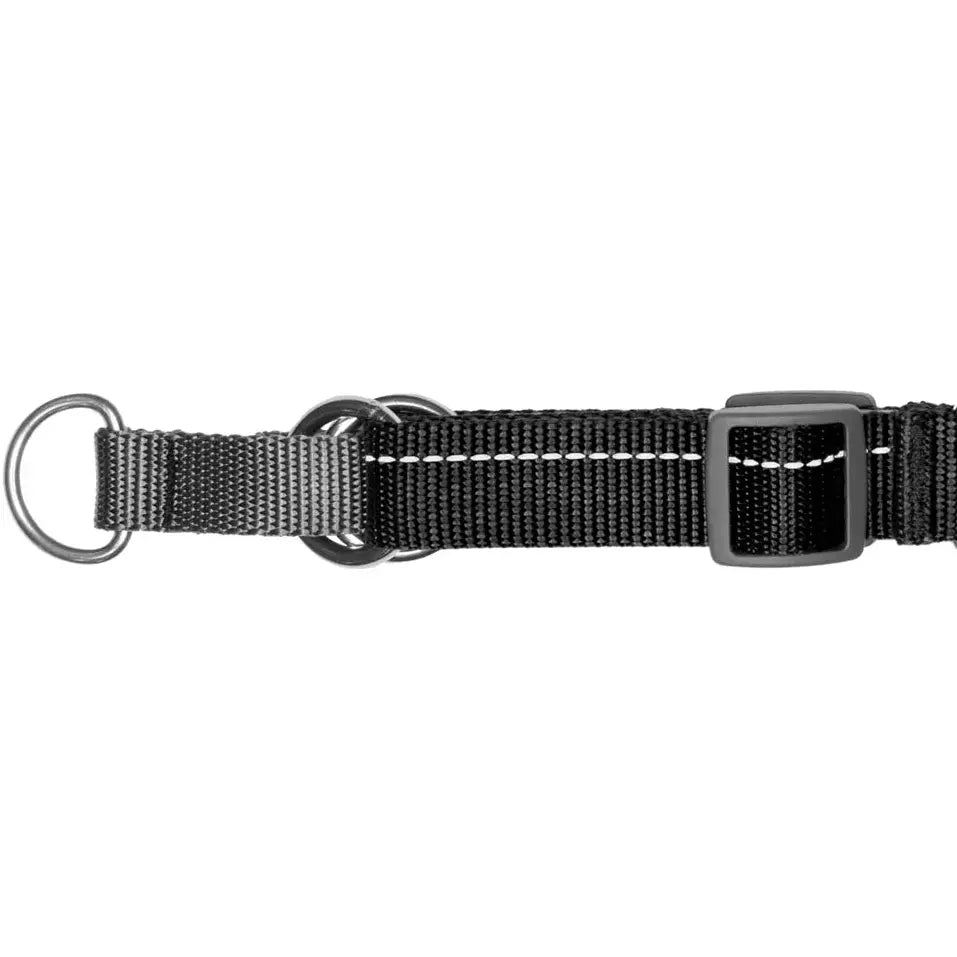 RC Dog Pace No Pull Harness Mulberry  Harnesses  | PetMax Canada