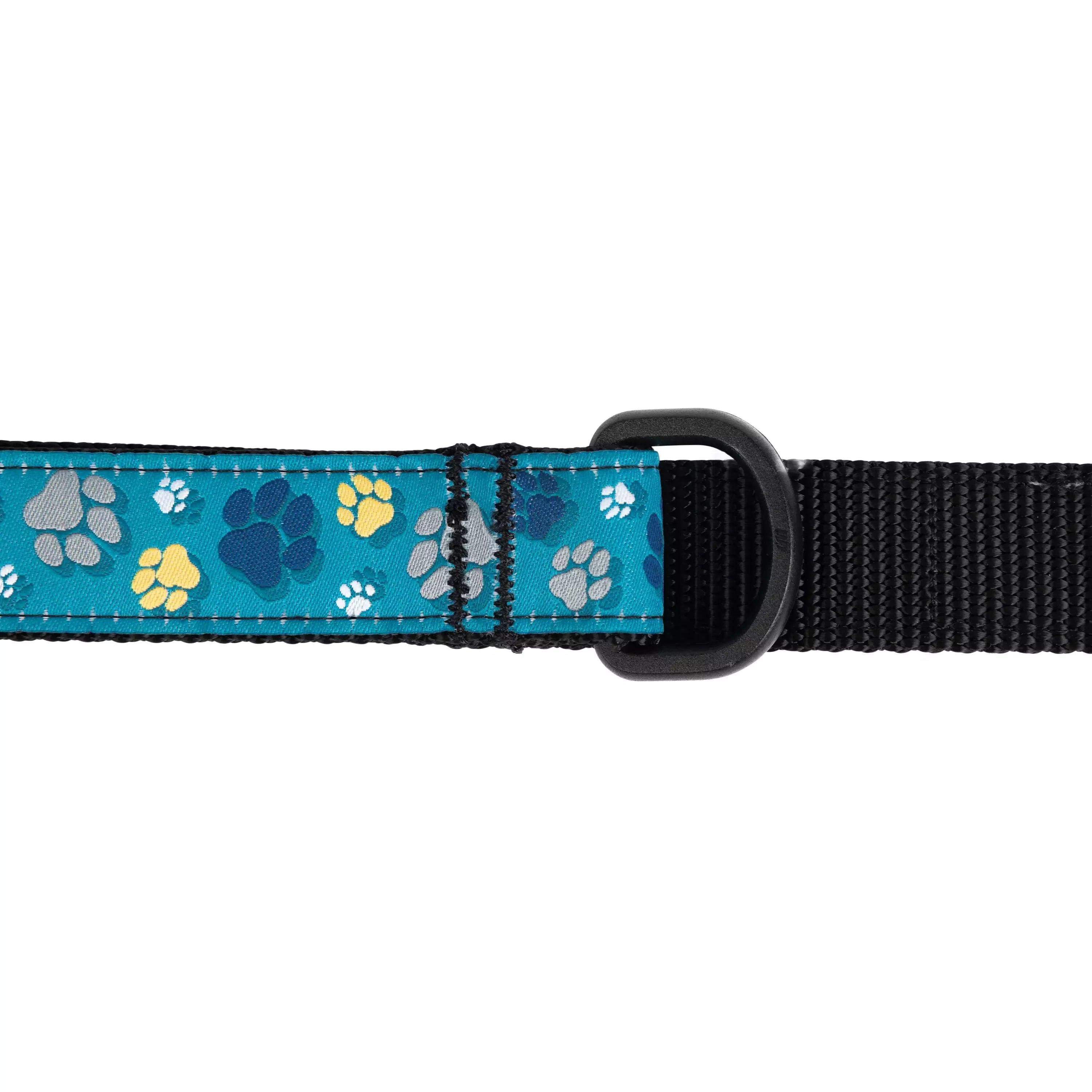 RC Dog Leash Clay Floral - 3/4" x 6' - Leashes - RC Pet Products - PetMax Canada