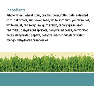 Living World Hamster Stick Fruit Flavour - 112g - Small Animal Food Treats - Living World - PetMax Canada