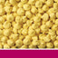 Living World Rat Treat Honey Flavour - 75g - Small Animal Food Treats - Living World - PetMax Canada