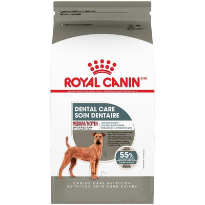 Royal Canin Medium Dental Care Dry Dog Food  Dog Food  | PetMax Canada