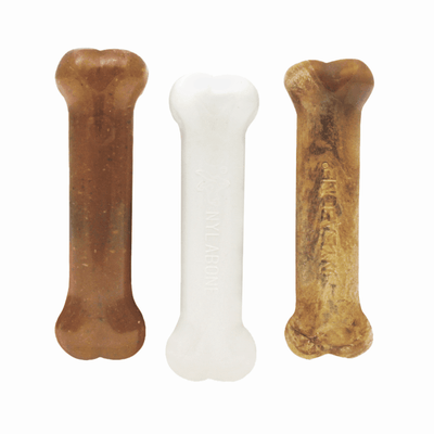 Nylabone Puppy Starter Kit - Regular - Nylon - Nylabone - PetMax Canada