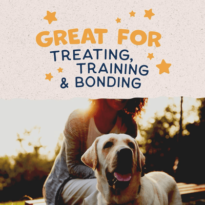 Natural Balance Rewards Crunchy Biscuits With Real Duck Dog Treats - 227g - Dog Treats - Natural Balance - PetMax Canada