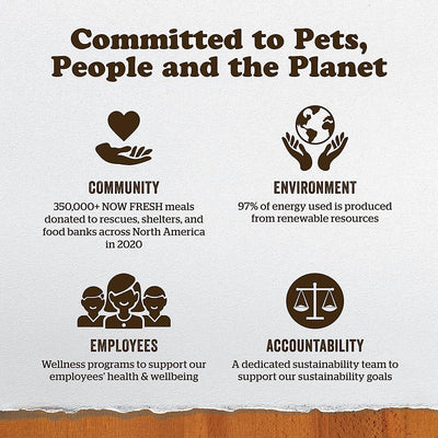 Now Fresh Grain Free Large Breed Senior Turkey, Salmon, & Duck Recipe for dogs - 11.34 Kg - Dog Food - Now Fresh - PetMax Canada