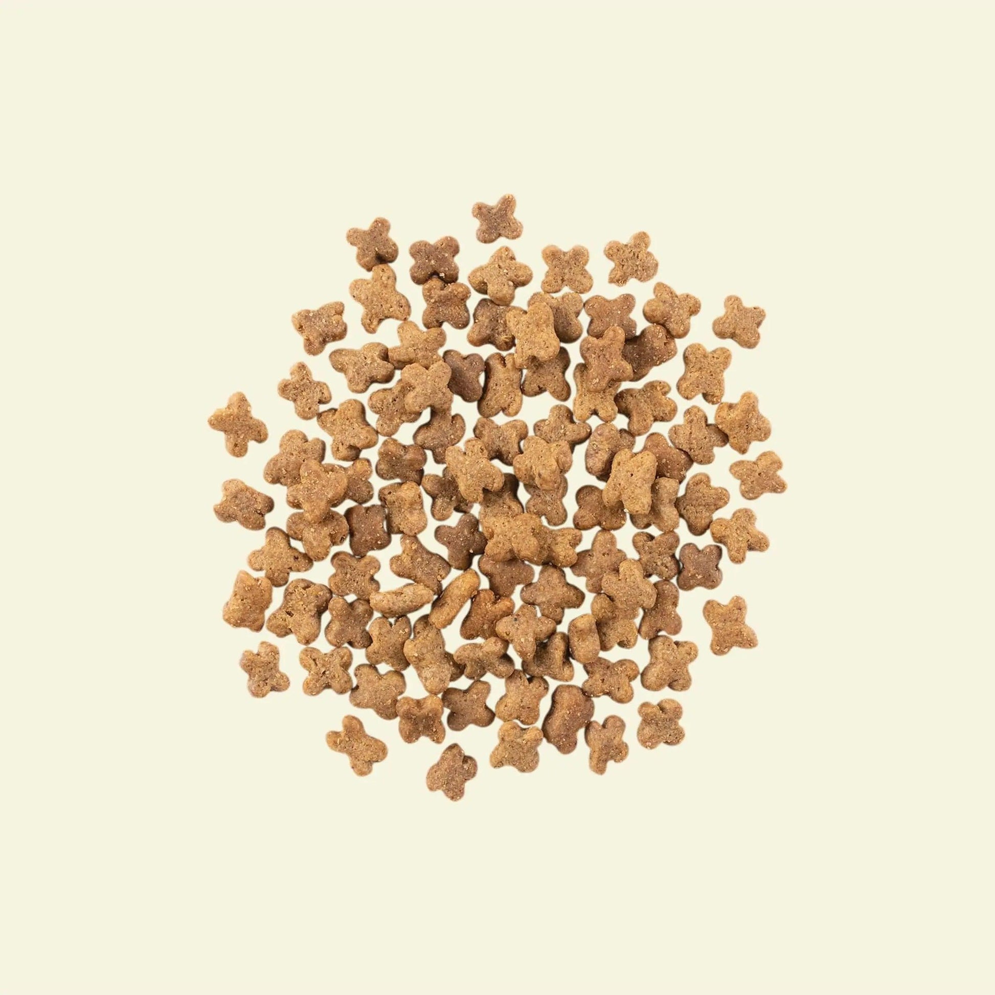 Now Fresh Grain Free Small Breed Adult Red Meat Recipe for Dogs