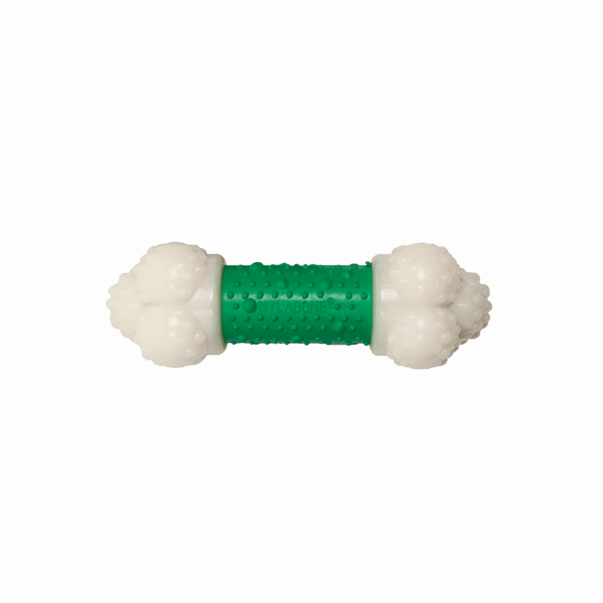 Nylabone action best sale