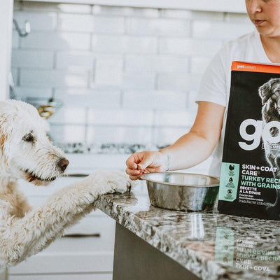 GO! SKIN + COAT CARE Turkey Recipe for dogs - 1.59 Kg - Dog Food - Go! - PetMax Canada