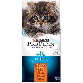 Purina Pro Plan With Probiotics High Protein Dry Kitten Food Chicken & Rice Formula  Cat Food  | PetMax Canada