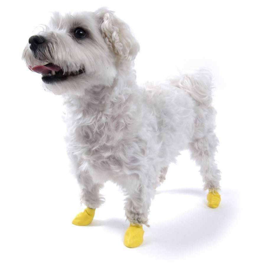 Pawz Dog Boots Yellow / XX-Small Boots Yellow | PetMax Canada
