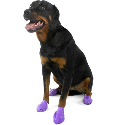 Pawz Dog Boots - Purple / Large - Boots - Pawz - PetMax Canada