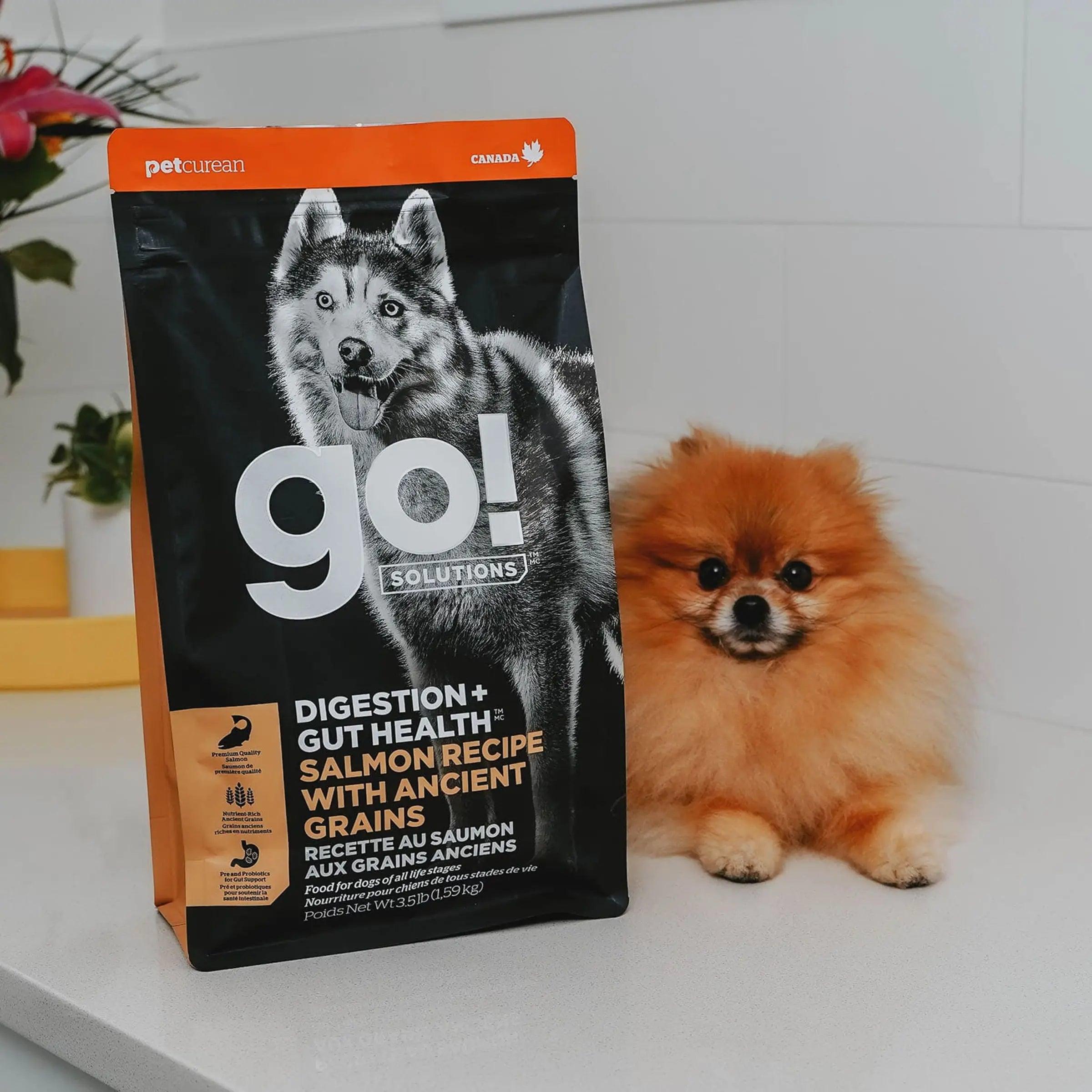 Go! Solutions Ancient Grain Digestion & Gut Health Recipe For Dogs - 1.59 Kg - Dog Food - Go! - PetMax Canada