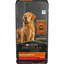 Purina Pro Plan Adult Complete Essentials Shredded Blend Beef & Rice Dry Dog Food  Dog Food  | PetMax Canada