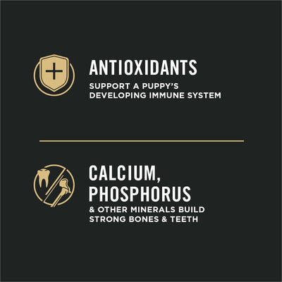 Purina Pro Plan Dry Puppy Food Focus Chicken & Rice Formula - 2.7 Kg - Dog Food - Purina Pro Plan - PetMax Canada