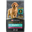 Purina Pro Plan High Protein DHA Lamb & Rice Formula Puppy Food 15.4 Kg Dog Food 15.4 Kg | PetMax Canada