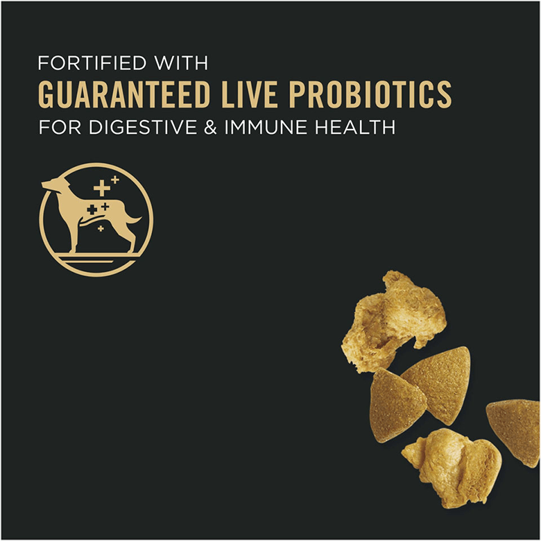 Purina digestive dog food clearance