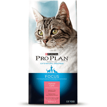 Purina anti hairball hot sale