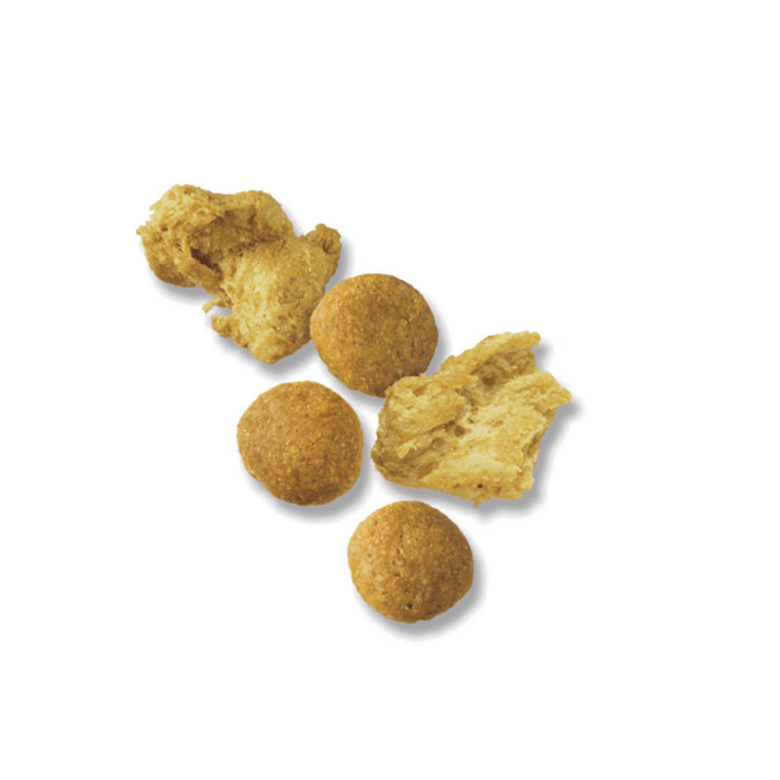 Purina pro plan shredded dog food online