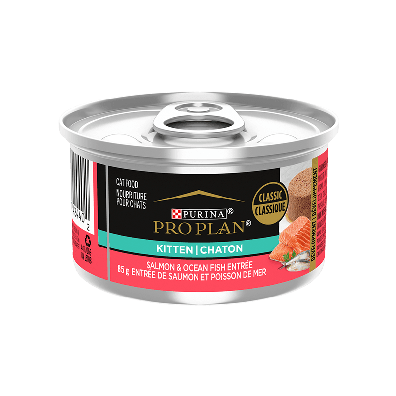 Purina Pro Plan Entree Kitten Food Salmon & Oceanfish  Canned Cat Food  | PetMax Canada