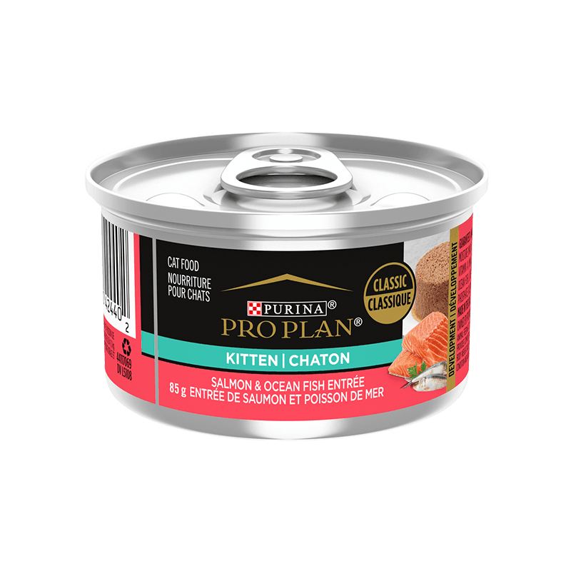 Purina Pro Plan Entree Kitten Food Salmon & Oceanfish - 85g - Canned Cat Food - Purina Pro Plan - PetMax Canada